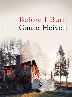 cover image of Before I Burn